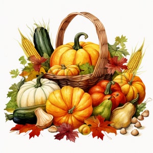 a basket filled with lots of different types of pumpkins