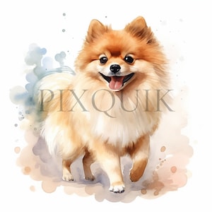 Pomeranian Clipart Watercolor Bundle | 10 high quality JPGs | Dog Portrait | Pomeranian JPG | Dog Lover Art | Junk Journal Dogs |