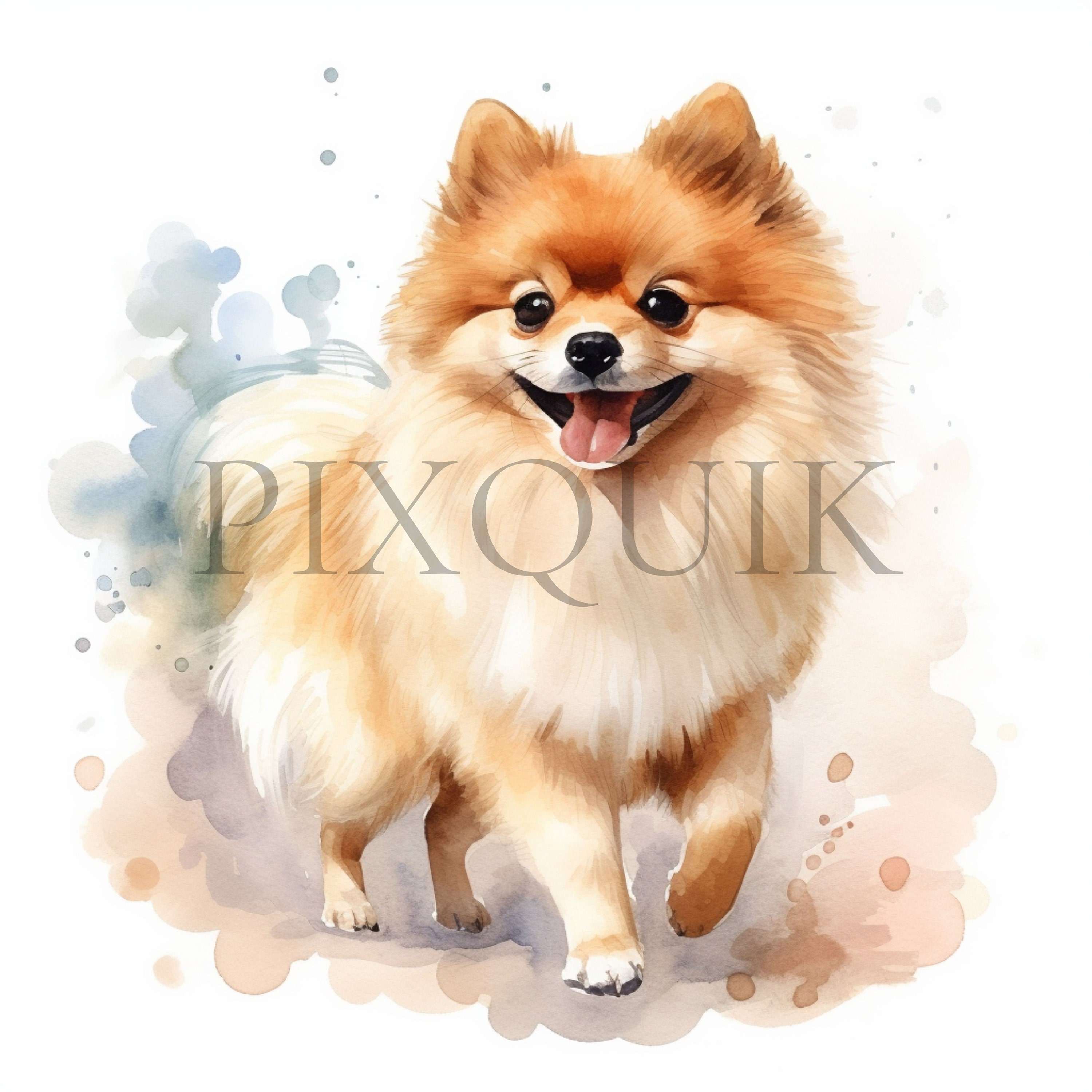 ポメラニアンの水彩画クリップアート集：犬好きアート（JPG） - Etsy 日本