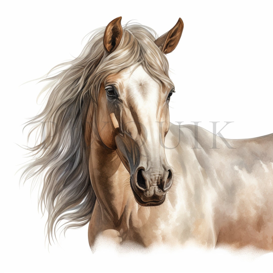水彩馬のクリップアート - 10 個の高品質 JPG | 水彩馬 | デジタル
