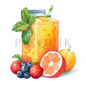 Saft Box Clipart | 10 hochwertige JPGs | Digitaler Download | Saftkiste | Fruchtsaft | Saft Clipart | Fruchtsaft Clipart | Digitaldrucke