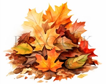 Aquarel herfstblad clipart | Herfstgebladerte JPG's (digitale download)