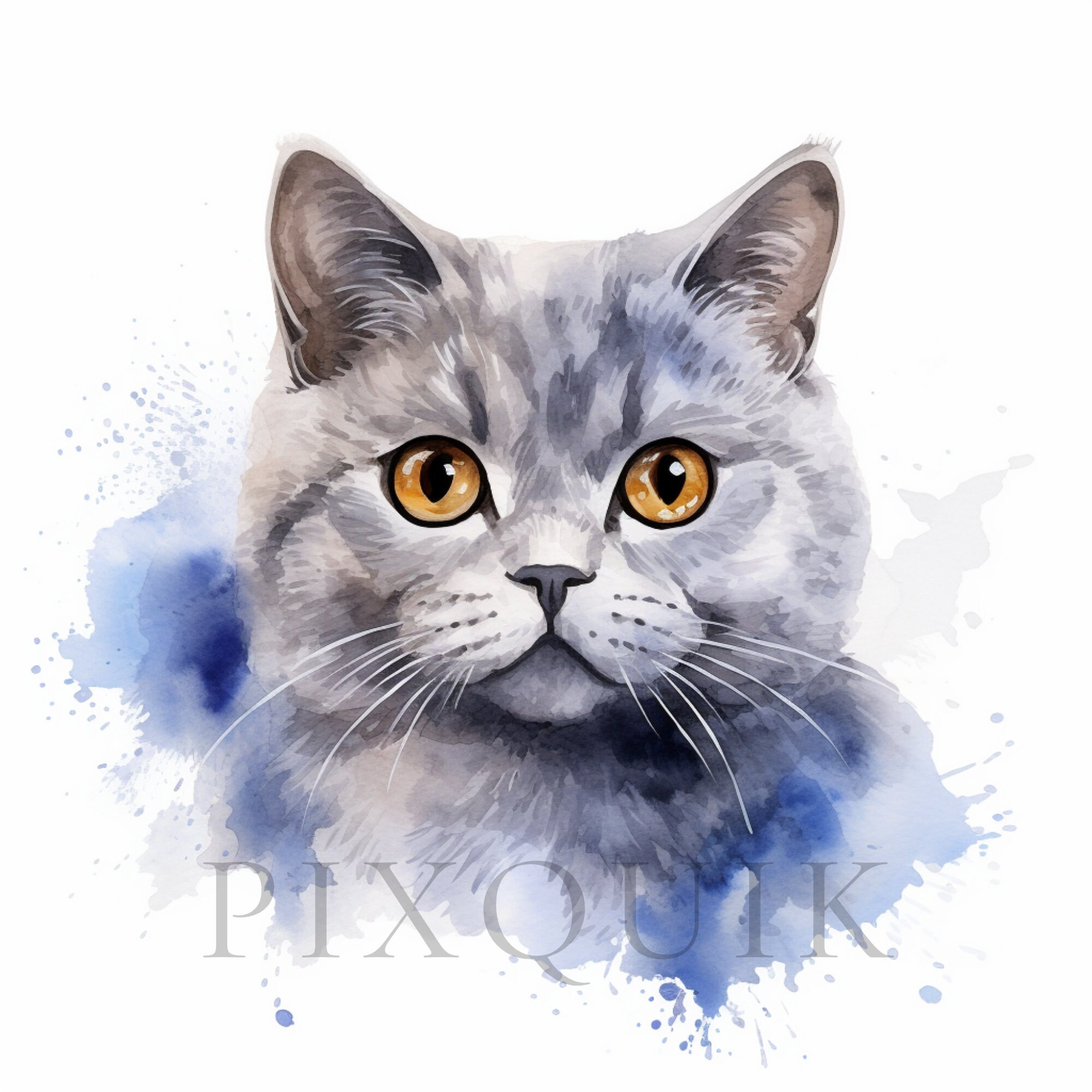 Watercolor British Shorthair Clipart | Cat Illustration (digital ...