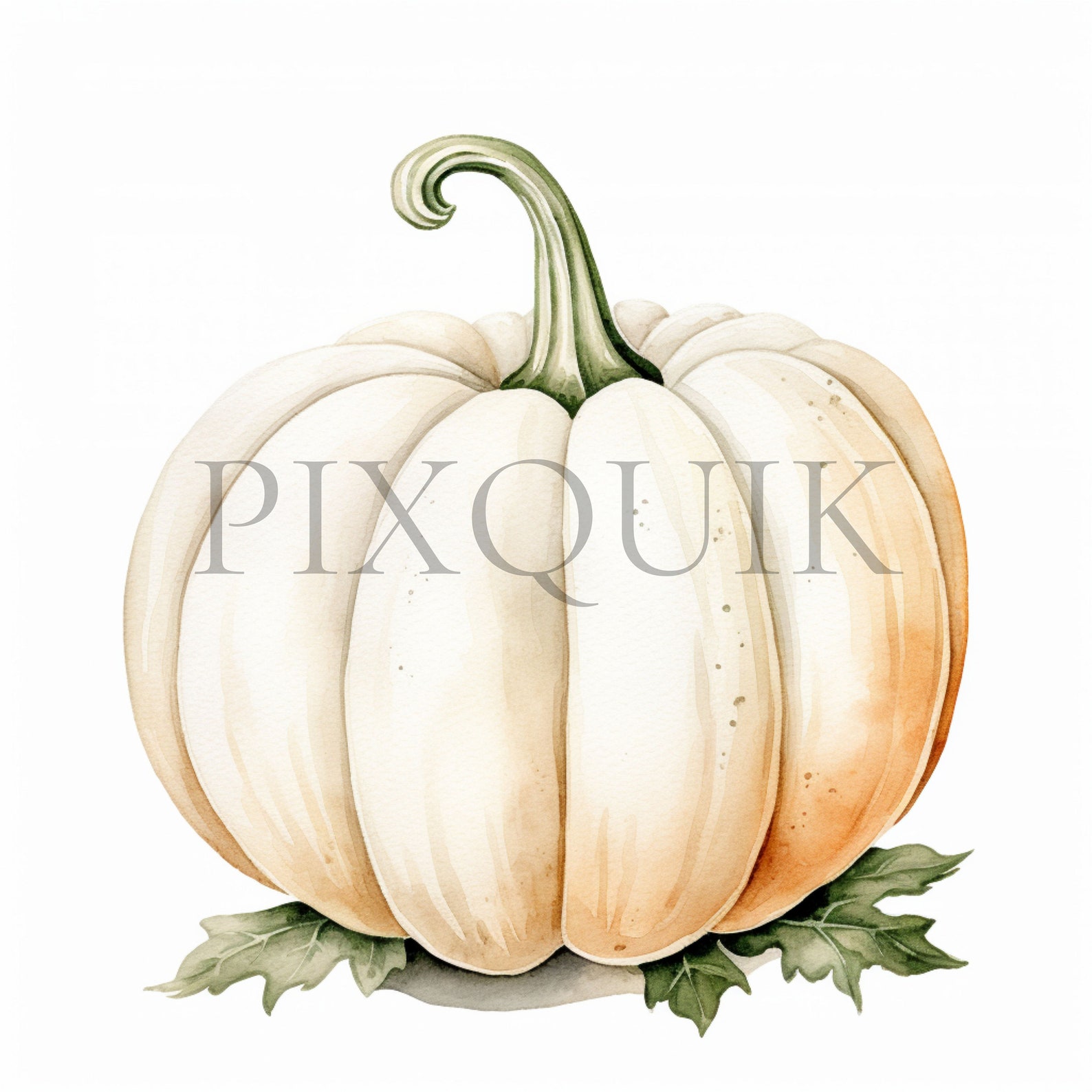 White Pumpkin Watercolor Clipart | Fall Nursery Decor (digital Download ...