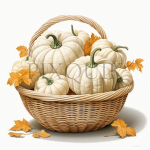 white pumpkin | 10 High Quality JPG | Pumpkin | Watercolor Clipart | Digital Download, Card Making, Nursery clipart
