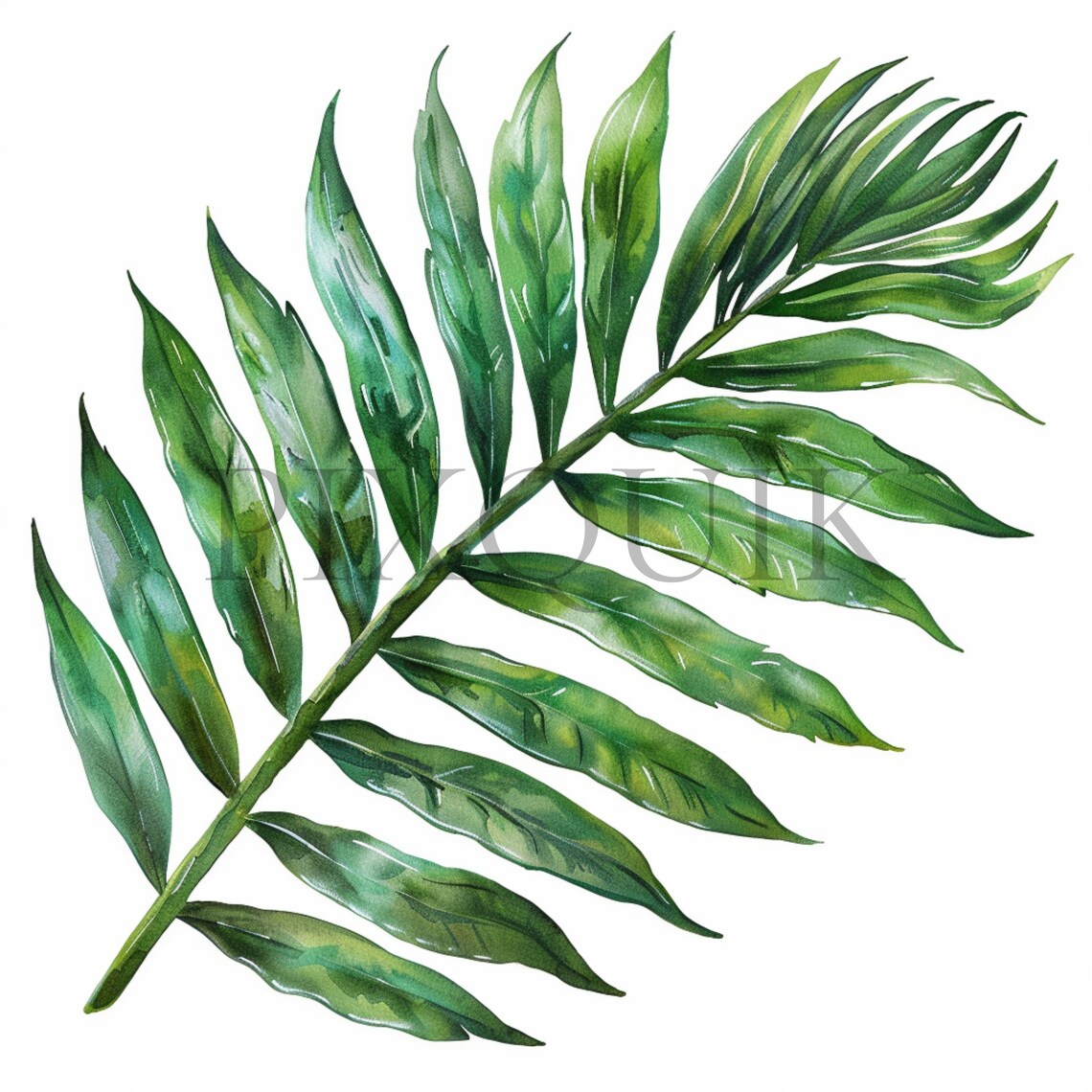 Palm Leaf Clip Art 10 High Quality JPG Jungle Leavees Palm Branch Junk