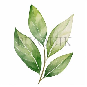a watercolor painting of a green leaf