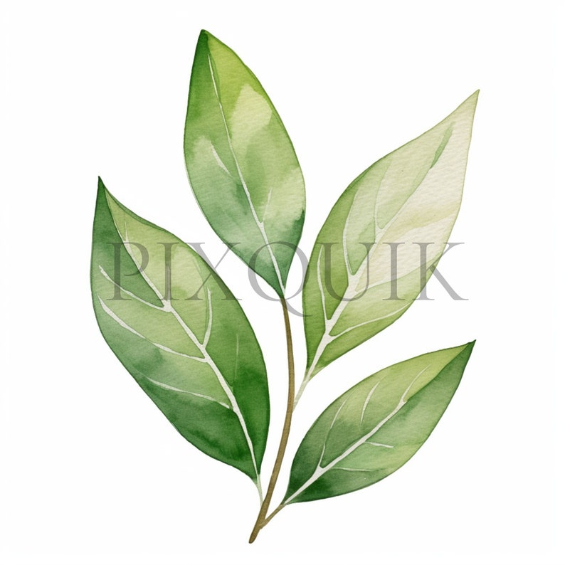 a watercolor painting of a green leaf