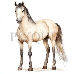Cheval en peau de daim | 10 fichiers JPG | Fabrication de cartes | Artisanat numérique en papier | Aquarelle | Illustration de cheval, art équestre