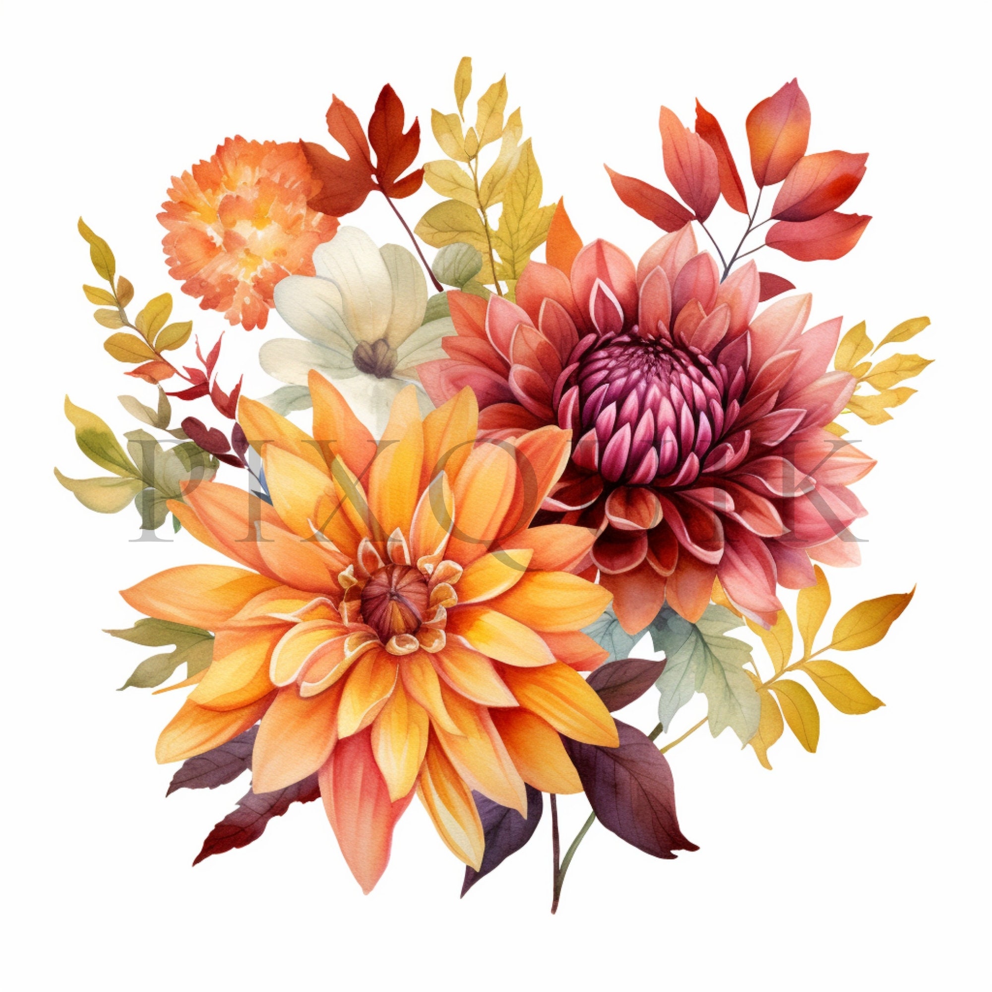 Autumn Floral Clipart | Fall Flowers, Botanical Art (digital Download ...