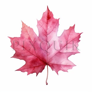 Clipart automne rose | 10 fichiers JPG de haute qualité | Téléchargement numérique | Clipart feuillage d'automne | Clipart aquarelle automne | Clipart feuilles d'automne