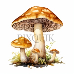 Watercolor Mushroom Clipart - 10 High Quality JPGs | Forest plant clipart | Fantasy Mushroom | Mushroom Bundle