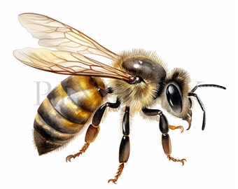 Watercolor Bee Clipart – 10 JPGs, Commercial Use