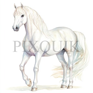 Clipart cheval blanc | 10 fichiers JPG | Fabrication de cartes | Artisanat numérique en papier | Aquarelle | Illustration de cheval, art équestre