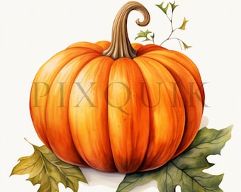 Clipart di zucche autunnali / Immagini JPG del raccolto autunnale (download digitale)