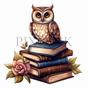 Gufo sui libri Clipart Set / 10 JPG di alta qualità / Grafica di lettura del gufo / Illustrazioni educative / Album di ritagli, stampabile, uso commerciale