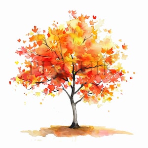 Pacchetto di clipart di aceri ad acquerello / Colori autunnali (JPG)