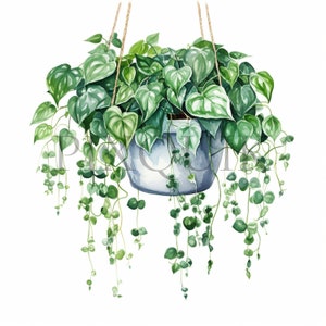 Clipart de planta colgante / 10 archivos JPG de alta calidad / Planta de interior / Arte vegetal / Ilustraciones botánicas / Álbum de recortes, imprimible, uso comercial