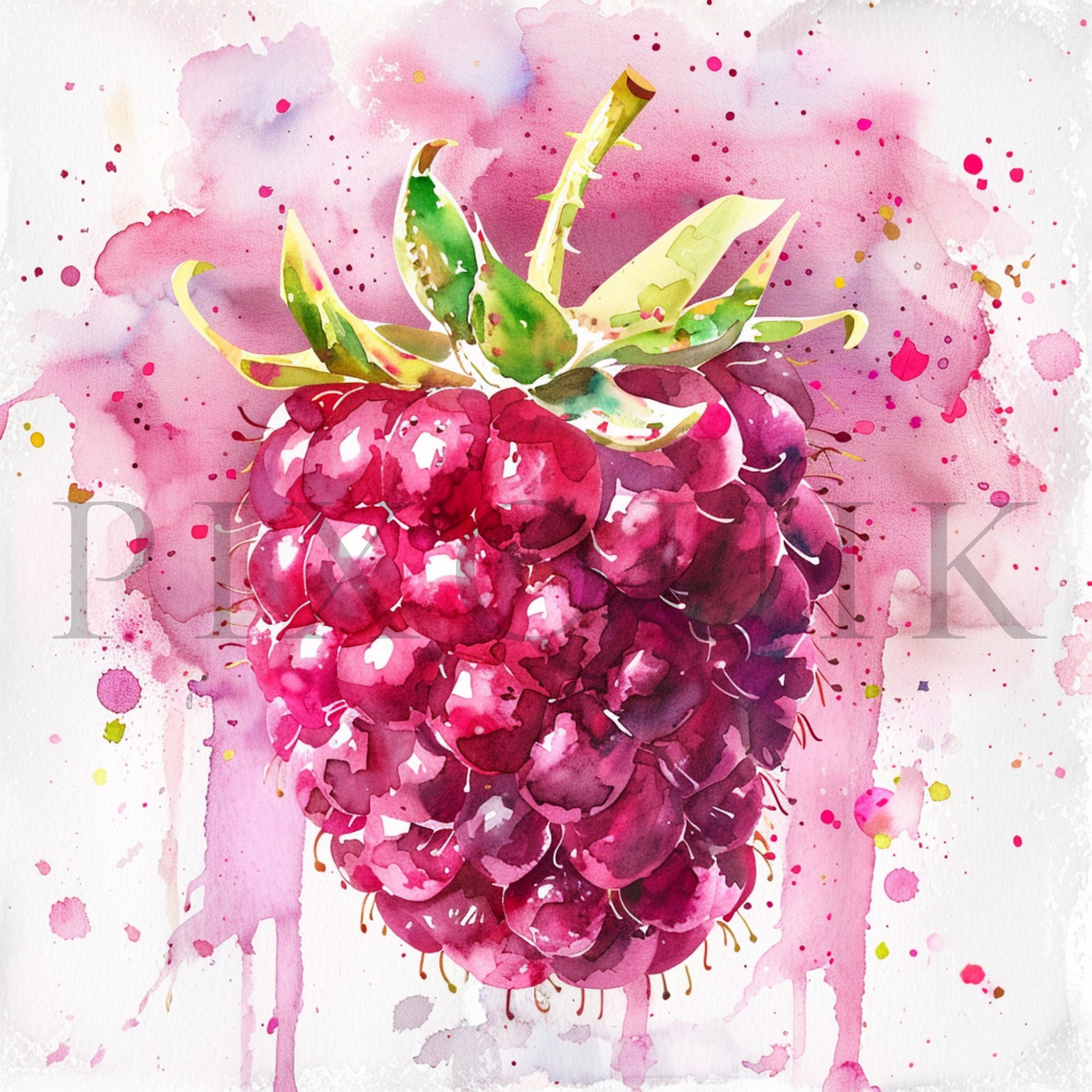 Watercolor Raspberry Clipart 11 High Quality Jpgs Digital Download ...