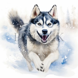 Siberian Husky Clipart | 10 High quality JPGs |  Husky Dog PNG | Watercolor Dog | Cute Dog Clipart | Puppies Clipart | Commercial License