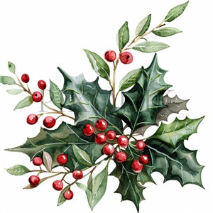 Clipart di piante natalizie festive / 10 JPG di alta qualità / Arte floreale natalizia / Clipart di Natale / Album di ritagli, stampabile, uso commerciale