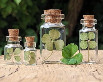 Lucky charm gift - REAL four-leaf clover in a mini glass jar