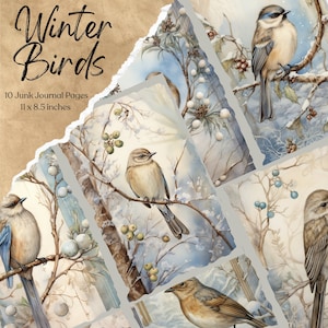 Páginas do diário de lixo do pássaro de inverno | Papel para álbum de recortes | Imprimível | Folha de colagem | Aves efêmeras | Fundo animal | Download de papel digital