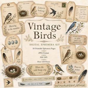 Könnte beinhalten: Ein digitales Ephemera-Set mit Illustrationen von Vögeln, Nestern, Eiern, Federn und Etiketten mit Texten wie Vintage Birds, Listen to birdsong und Morning in the meadow auf beigem Hintergrund mit verschiedenen Papierformen.