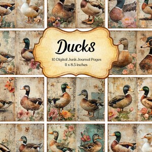 Puede incluir: 10 páginas digitales de diario de chatarra con ilustraciones vintage de patos con acentos florales. Las páginas miden 28 x 21,6 cm.