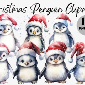 Paquete de imágenes prediseñadas de pingüinos navideños en acuarela Imágenes digitales de pingüinos Descarga de PNG de pingüinos Gráficos navideños Arte mural festivo Dibujo de invierno