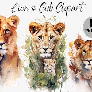 Pacote de clipart de leão e filhote em aquarela | Imagens digitais de leão | Filhote De Leão PNG | Download digital | Aquarela Leão PNG | Uso comercial