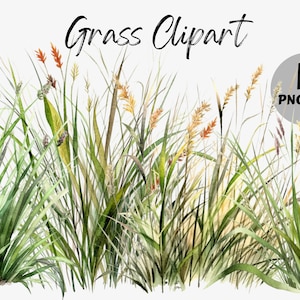 Grass Clipart Bundle | Grass Sublimation | Green Meadow Graphics | Grass PNG | Commercial Use | Scrapbooking | Digital Images | Journaling