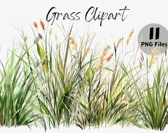 Grass Clipart Bundle | Grass Sublimation | Green Meadow Graphics | Grass PNG | Commercial Use | Scrapbooking | Digital Images | Journaling