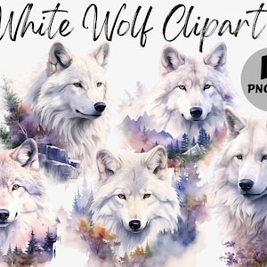 Könnte beinhalten: Ein digitales Clipart-Set mit 12 Aquarell-Illustrationen von weißen Wölfen vor einem Waldhintergrund. Die Wölfe sind mit verschiedenen Gesichtsausdrücken und Posen dargestellt. Die Illustrationen sind perfekt, um Ihren Designs einen Hauch von Natur zu verleihen.
