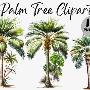 Watercolor Palm Tree Clipart Bundle | Palm Tree Digital Images | Palm Tree Graphics | Watercolor Palm Tree Graphic | Palm Tree PNG