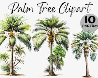 Watercolor Palm Tree Clipart Bundle | Palm Tree Digital Images | Palm Tree Graphics | Watercolor Palm Tree Graphic | Palm Tree PNG