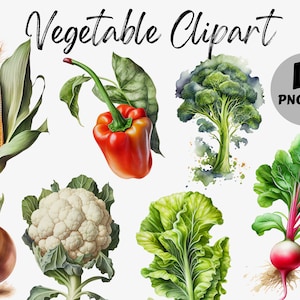 Watercolor Vegetable Clipart Bundle | Vegetable Digital Images | Vegetable Graphics | Watercolor Food Clipart | Digital Download