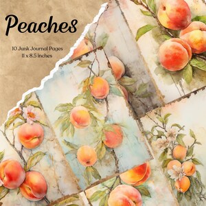 Páginas imprimibles de Peach Junk Journal, papel vintage para manualidades, papel para diario, papel para álbum de recortes de frutas, descarga digital, tarjeta de fondo para diario