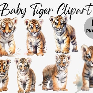 Aquarell Baby Tiger Clipart | Tiger PNG | Baby Tier PNG | Tigerjunges | Kinderzimmer Grafik | Kommerzielle Nutzung | Sublimation | Babyparty PNG