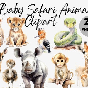 Watercolor Baby Safari Animal Clipart Bundle | Animal PNG | Safari Animals | Digital File | Nursery Graphics | Commercial Use | Sublimation
