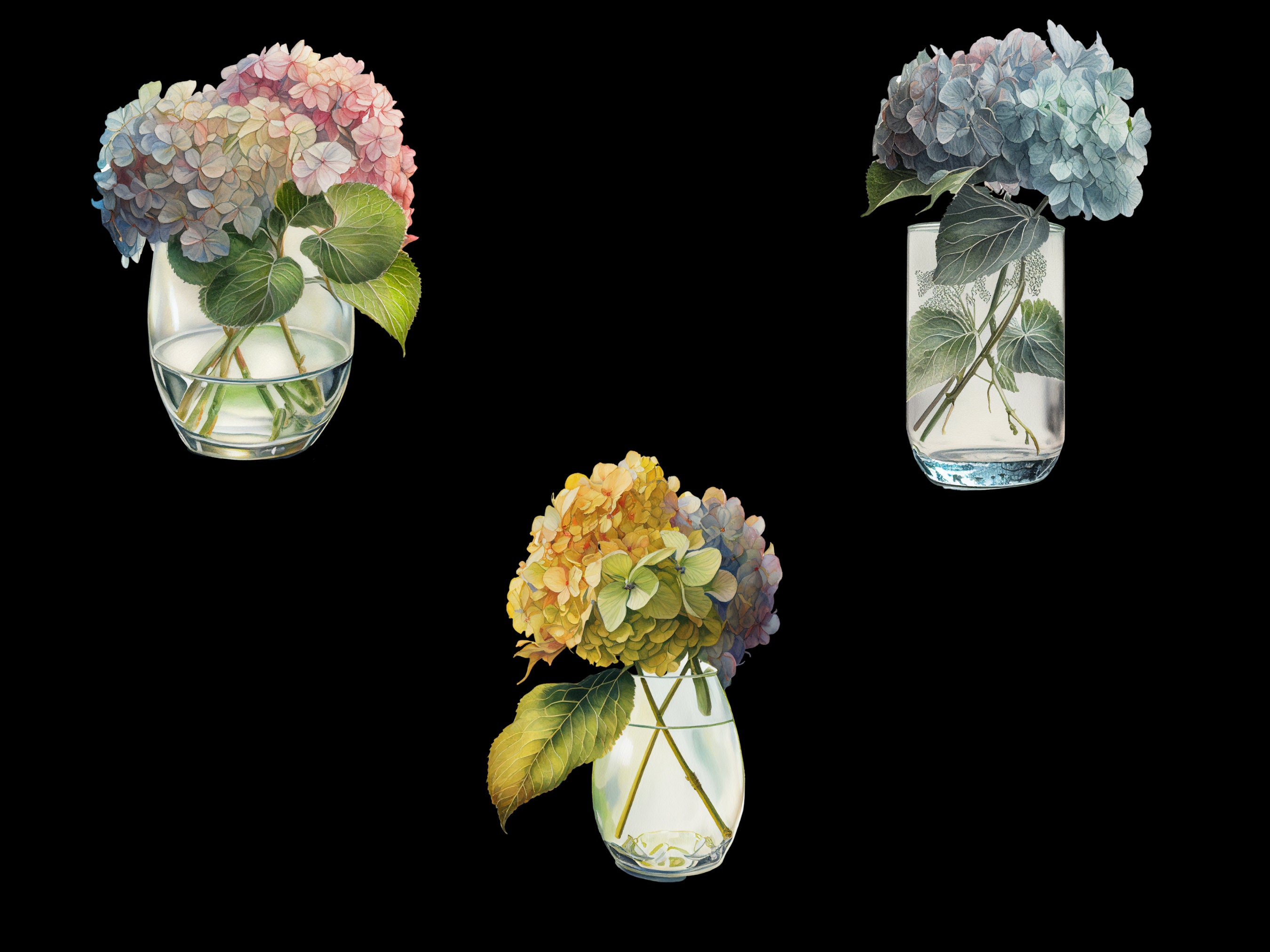 Hydrangea in Vase Clipart Bundle | Hydrangea Digital Images | Hydrangea ...