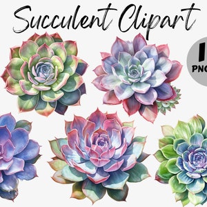 Acuarela Suculenta Clipart / Imágenes Digitales Suculentas / Acuarela Suculenta Gráficos / Suculenta PNG / Descarga Instantánea / Cactus PNG