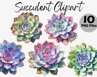 May include: A set of 10 watercolour succulent clipart images. The succulents are in shades of green, blue, and pink.  The images are perfect for crafting, scrapbooking, and digital design.