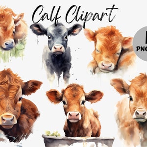 Watercolor Calf Clipart Bundle | Calf Digital Images | Animal Graphics | Calf PNG | Digital Download | Cow Digital Images | Cow Graphics