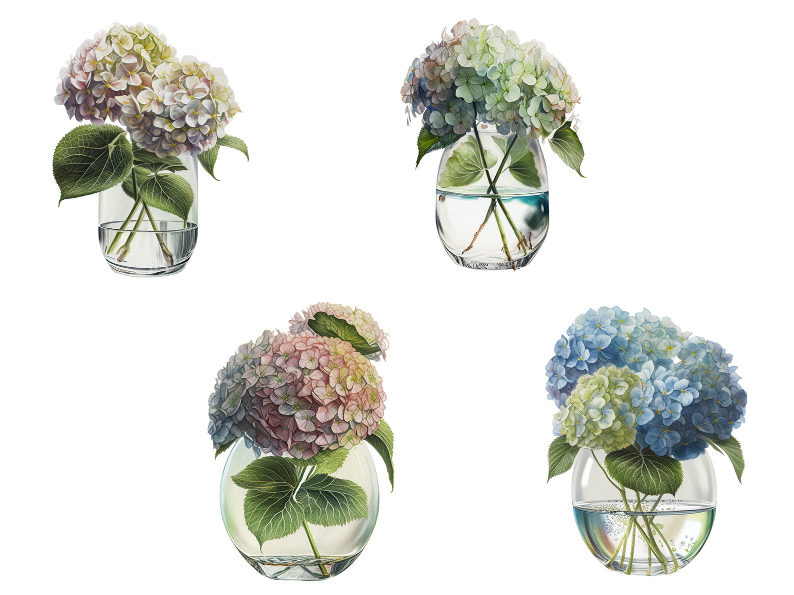 Hydrangea in Vase Clipart Bundle | Hydrangea Digital Images | Hydrangea ...