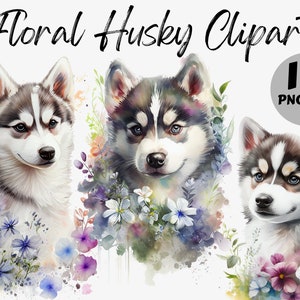 Watercolor Floral Husky Clipart Bundle | Floral Husky Digital Images | Floral Husky Graphics | Watercolor Floral Husky PNG | Digital File
