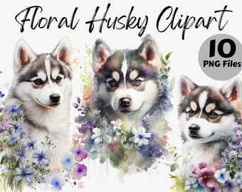 Può includere: Illustrazione ad acquerello di tre husky siberiani con accenti floreali. I cani hanno pelo bianco e nero, occhi blu e sono circondati da fiori colorati. Il testo recita "Floral Husky Clipart" e "10 PNG Files."