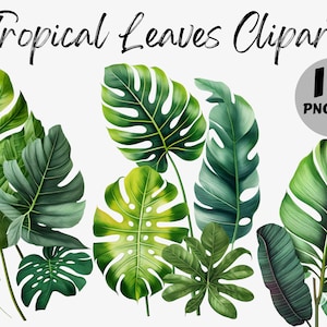 Watercolor Tropical Leaves Clipart Bundle | Tropical Leaves Digital Images | Tropical Leaves Graphics | Tropical Leaves PNG | Digital File