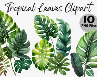 Watercolor Tropical Leaves Clipart Bundle | Tropical Leaves Digital Images | Tropical Leaves Graphics | Tropical Leaves PNG | Digital File