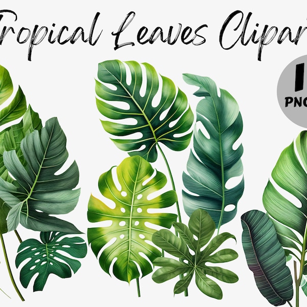 Watercolor Tropical Leaves Clipart Bundle | Tropical Leaves Digital Images | Tropical Leaves Graphics | Tropical Leaves PNG | Digital File